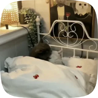 💋