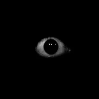 👁‍🗨