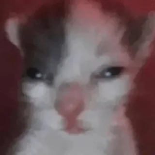 😯