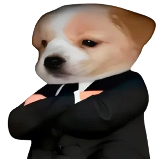 😎