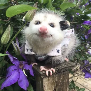 😊