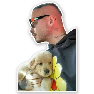🐶