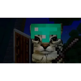 🐱