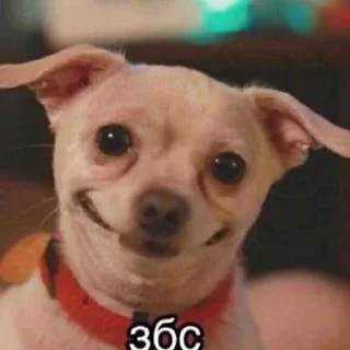 👍