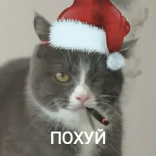 🎅