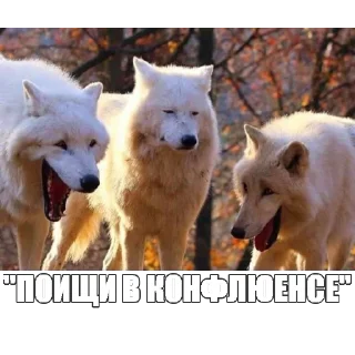 😆