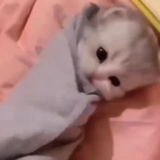 💓