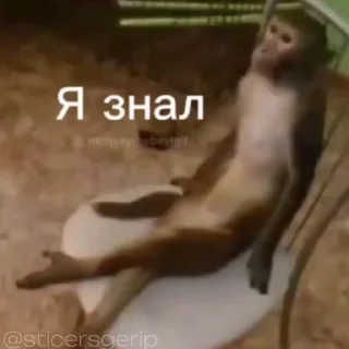 😎