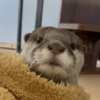 😘