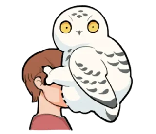 🦉