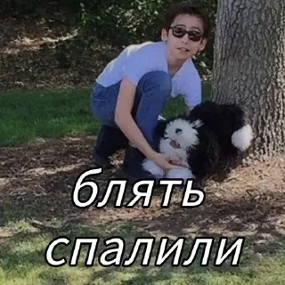 🌟