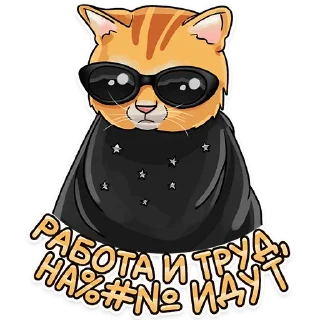 😎