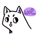 🐈