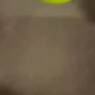 🐈