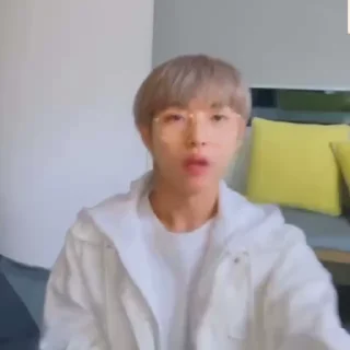 🦊