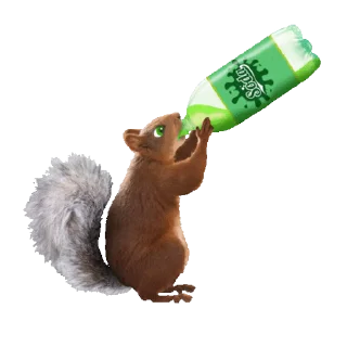 🥤