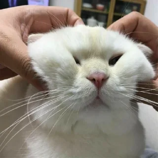 😍