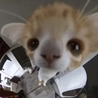 😕