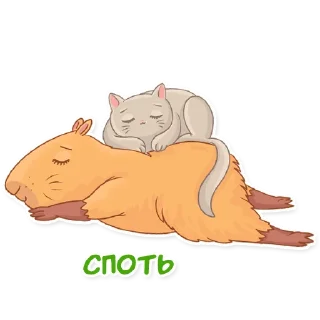 😴