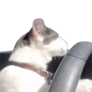🚙