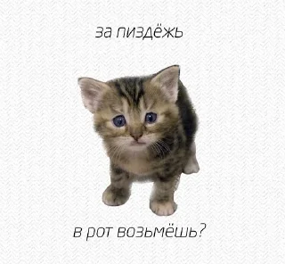 😉
