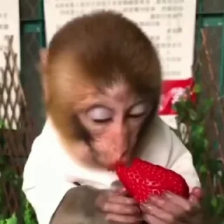 😊