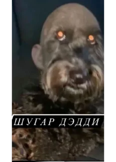 👨‍🦳