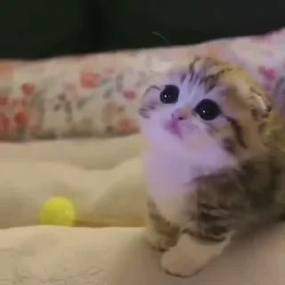 😐