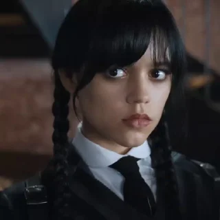 🕷️