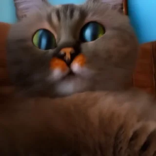 🫣