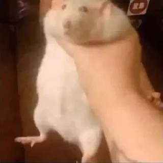 😵