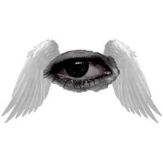 👁
