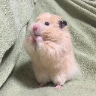 🎉