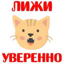 😋