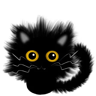 Black Cat