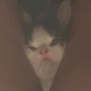 😔