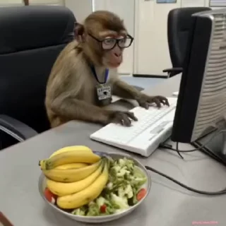 🤓