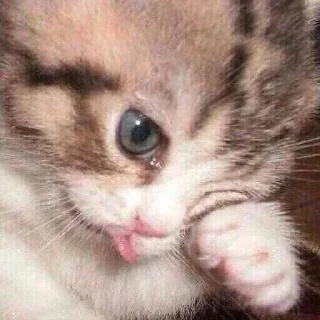 🥲