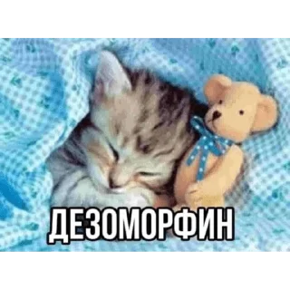 🛌
