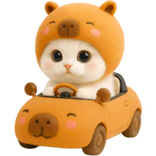 🚗