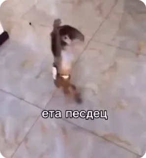 🌟