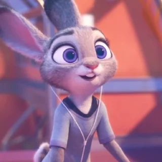 🐰