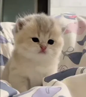 😒