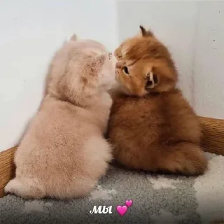 💕