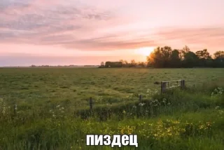 😭