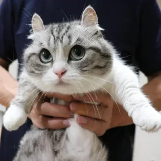 😫