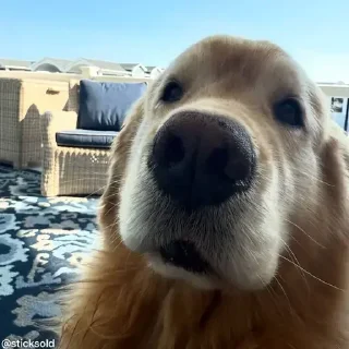 👀