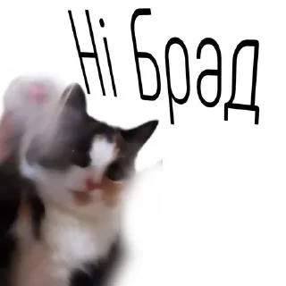 🤗