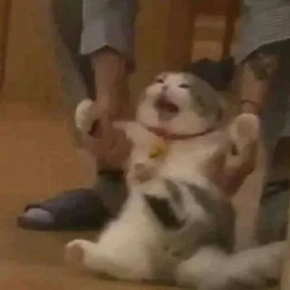 🦦