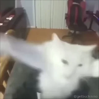 🤩